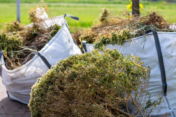 Best Construction Debris Removal  in Buenaventura Lakes, FL